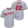 Amazing Nationals #22 Juan Soto Grey New Cool Base Stitched MLB Jersey
