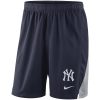 Amazing New York Yankees Nike Franchise Performance Shorts Navy