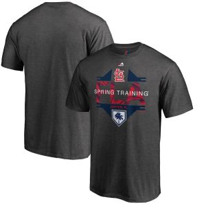 Amazing St. Louis Cardinals Majestic 2019 Spring Training Grapefruit League Winner T Shirt Gray
