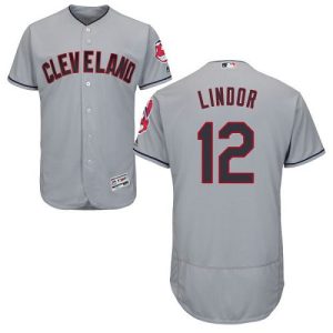 Delightful Guardians #12 Francisco Lindor Grey Flexbase Authentic Collection Stitched MLB Jersey