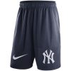 Delightful Men's New York Yankees Nike Navy Dry Fly Shorts