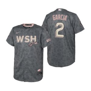 Delightful Washington Nationals #2 Luis Garcia Youth Nike Gray 2022 City Connect Replica Jersey Be among the first buyers Order now to enjoy top notch quality