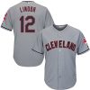 Exceptional Guardians #12 Francisco Lindor Grey Road Stitched Youth MLB Jersey Sports enthusiasts seize this opportunity Order now to feel the game excitement
