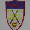 Exceptional Stitched MLB American League 1901 1951 Golden Anniversary Jersey Patch