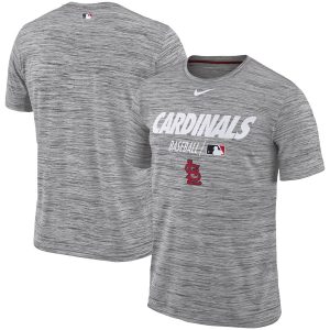 Impressive St. Louis Cardinals Nike Authentic Collection Velocity Team Issue Performance T Shirt Gray