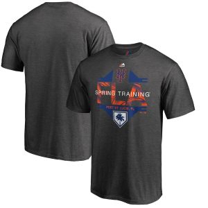 Outstanding New York Mets Majestic 2019 Spring Training Grapefruit League Winner T Shirt Gray