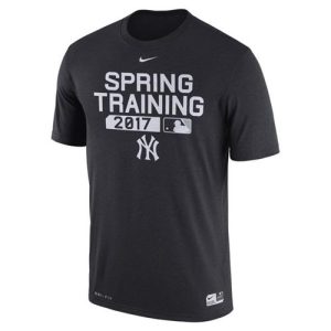 Premium Men's New York Yankees Nike Navy Authentic Collection Legend Team Issue Performance T Shirt