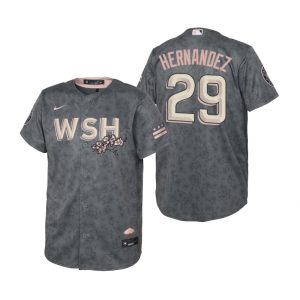 Premium Washington Nationals #29 Yadiel Hernandez Youth Nike Gray 2022 City Connect Replica Jersey For a short time available Grab yours quickly to own a team jersey