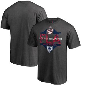Premium Washington Nationals Majestic 2019 Spring Training Grapefruit League Winner T Shirt Gray