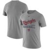 Premium Washington Nationals Nike Away Practice T Shirt Heathered Gray