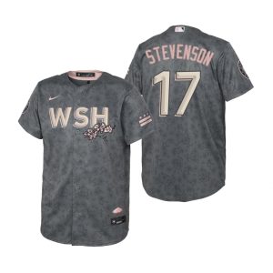 Stunning Washington Nationals #17 Andrew Stevenson Youth Nike Gray 2022 City Connect Replica Jersey Collectors this is a must have Add it to your collection by ordering