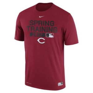Superb Men's Cincinnati Reds Nike Red Authentic Collection Legend Team Issue Performance T Shirt