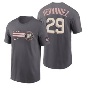 Superb Washington Nationals #29 Yadiel Hernandez Men's Nike Gray 2022 City Connect Graphic T Shirt Sports fans this is your chance Order soon to be part of the action