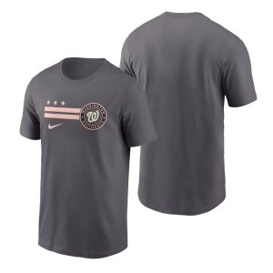 Superb Washington Nationals Blank Men's Nike Gray 2022 City Connect Graphic T Shirt Retailers boost your inventory Order now to meet customer demand