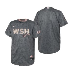 Superb Washington Nationals Blank Youth Nike Gray 2022 City Connect Replica Jersey Sports enthusiasts seize this opportunity Order now to feel the game excitement